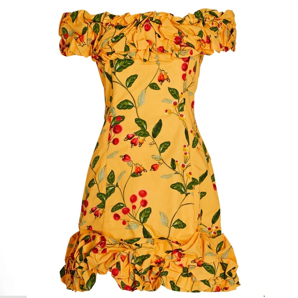 Agua by Agua Bendita Jardin Cotton Poplin Mini Dress - Picture 6 of 16